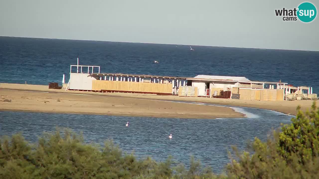 Webcam Chia – Live View of Su Giudeu Beach
