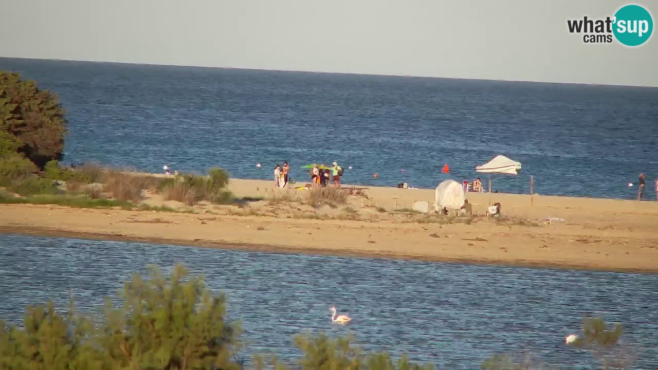 Webcam Chia – Vista en directo de la playa Su Giudeu