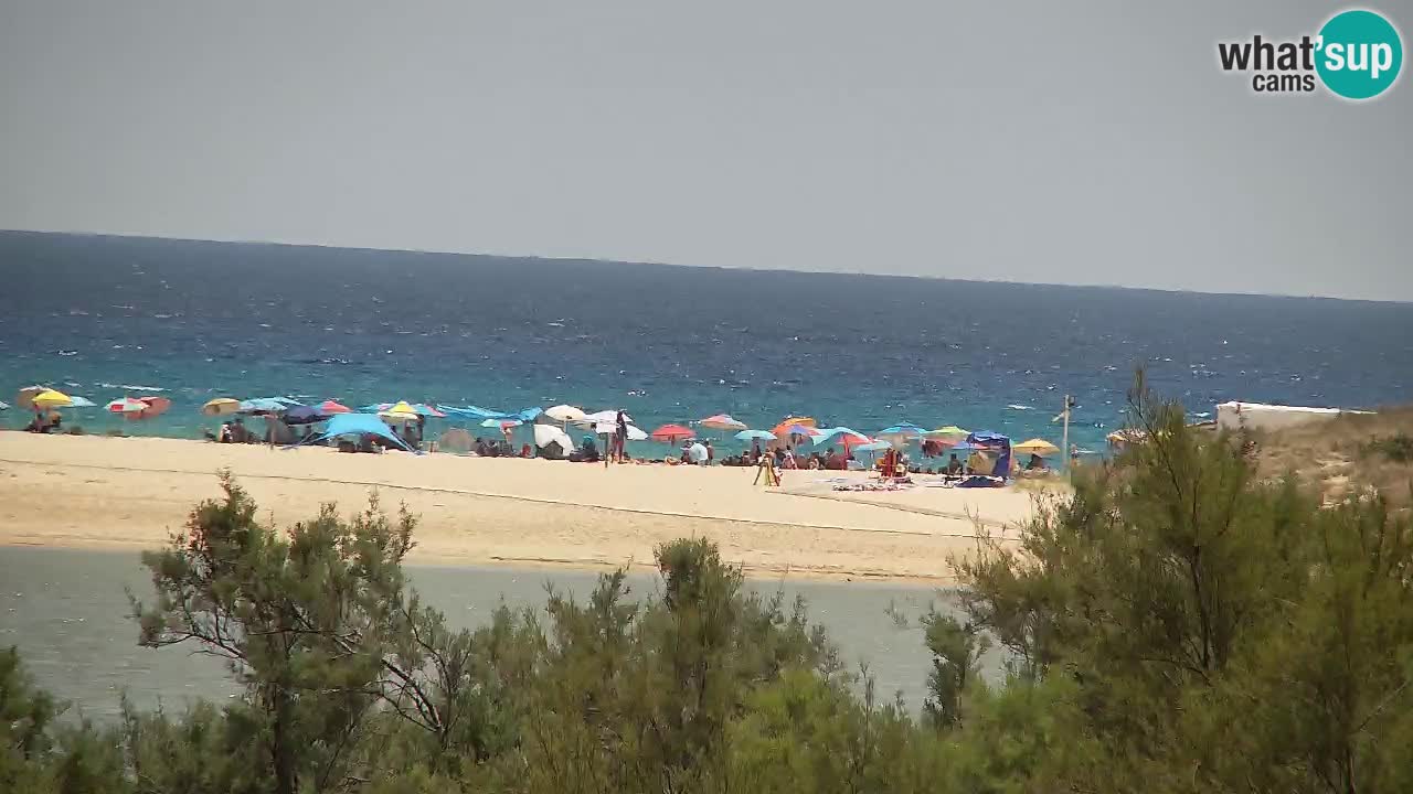 Webcam Chia – Live View of Su Giudeu Beach