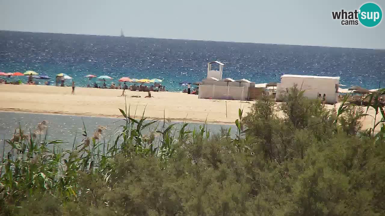 Webcam Chia – Live View of Su Giudeu Beach