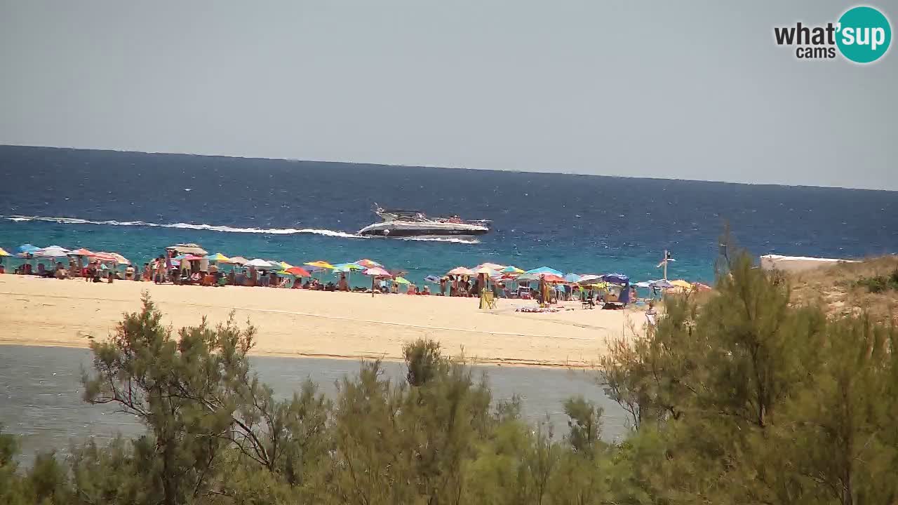 Webcam Chia – Live View of Su Giudeu Beach