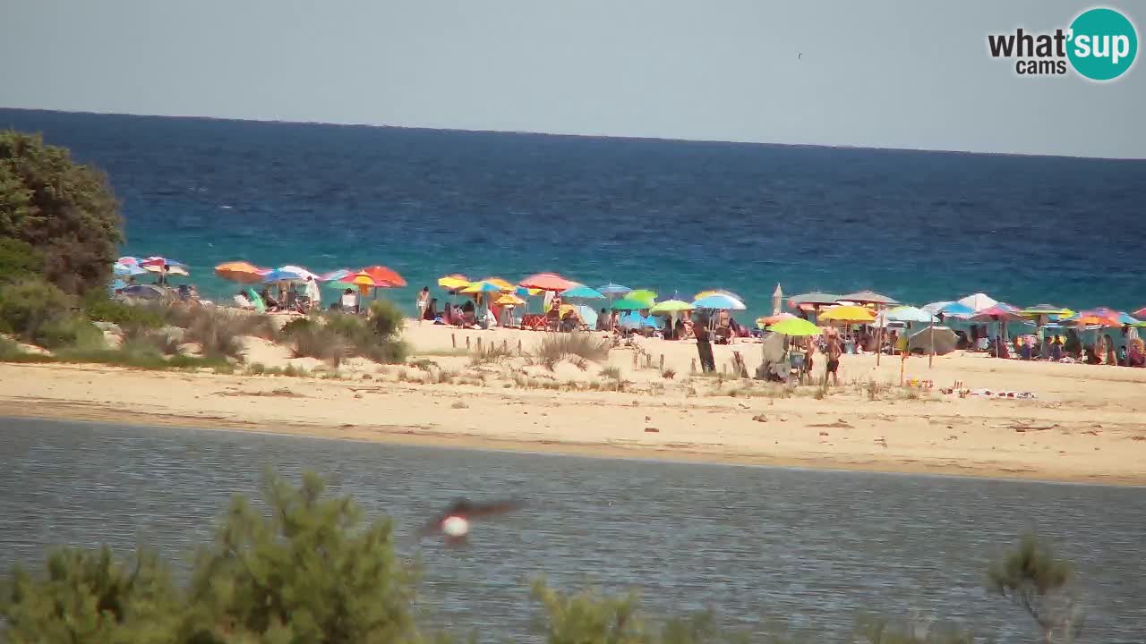 Webcam Chia – Vista en directo de la playa Su Giudeu