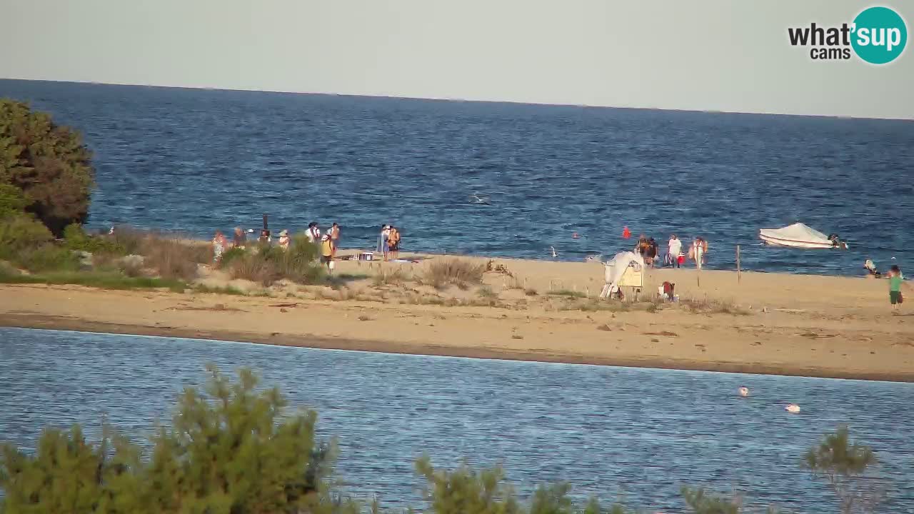 Webcam Chia – Live View of Su Giudeu Beach
