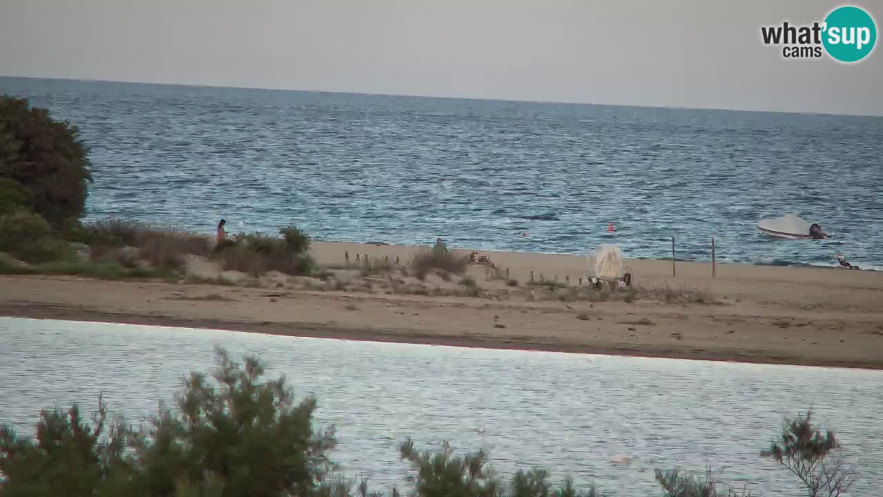 Webcam Chia – Live View of Su Giudeu Beach