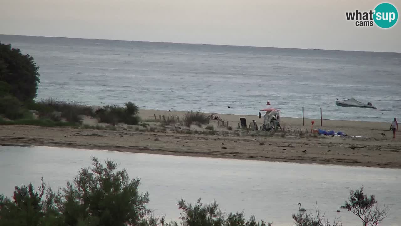 Webcam Chia – Live View of Su Giudeu Beach