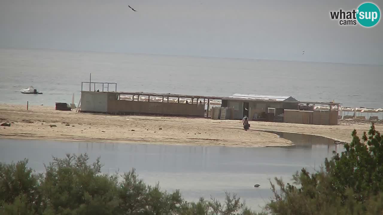 Webcam Chia – Live View of Su Giudeu Beach