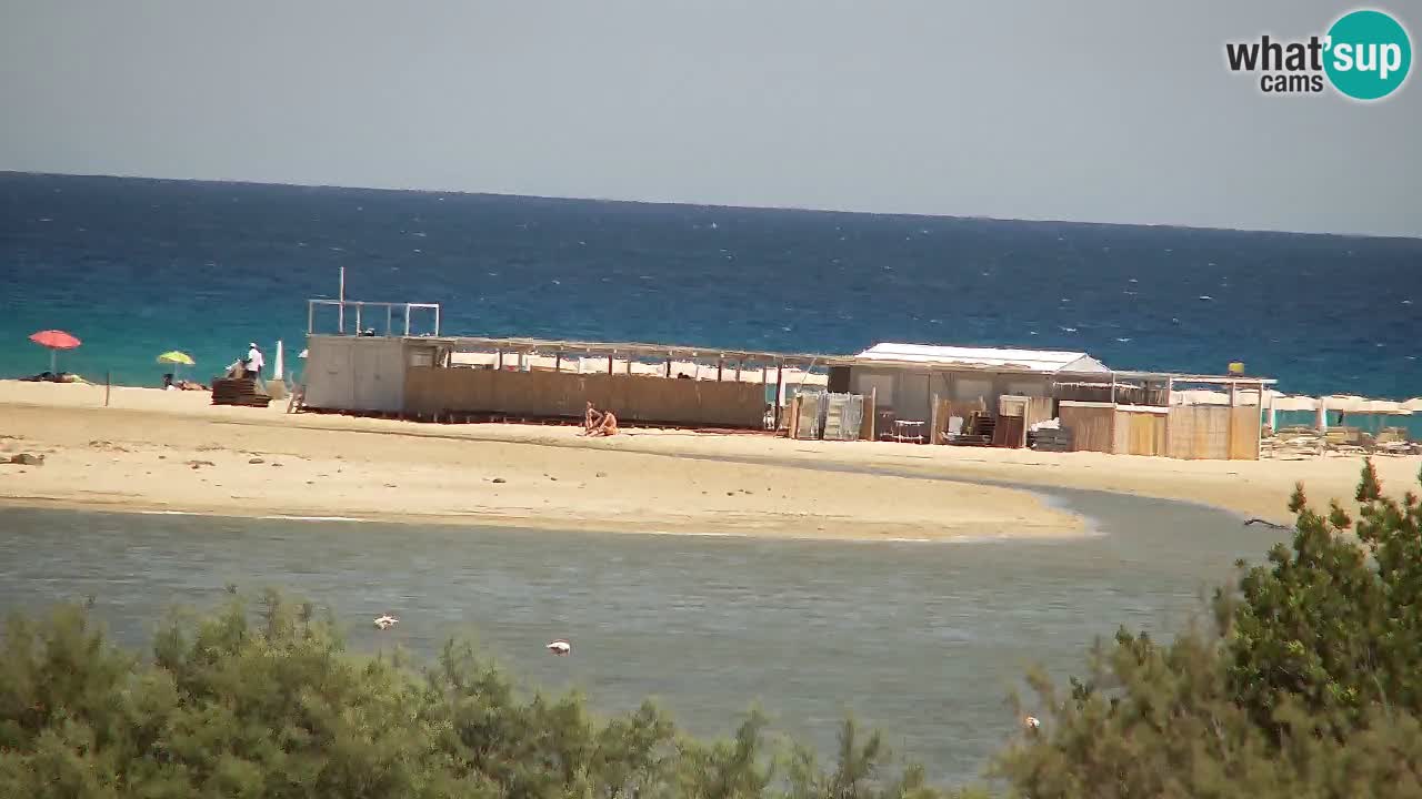 Web kamera Chia – Pogled uživo na plažu Su Giudeu