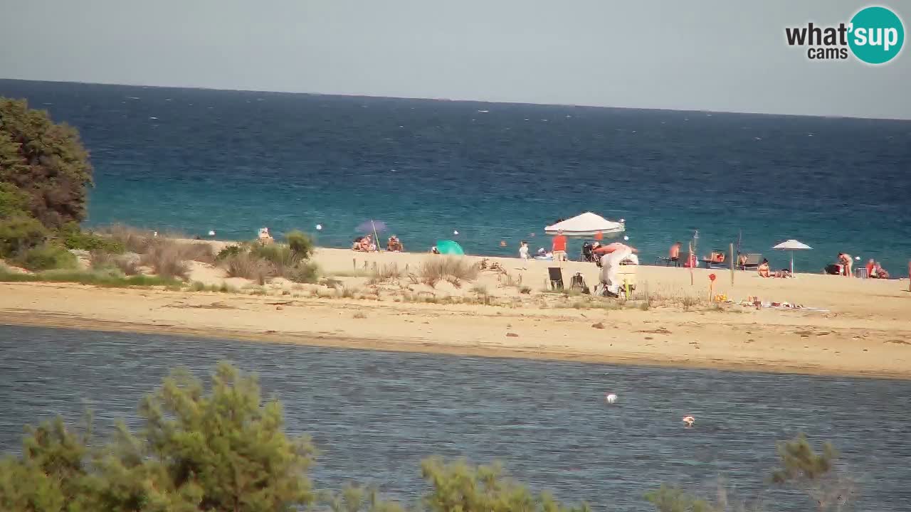 Webcam Chia – Live View of Su Giudeu Beach