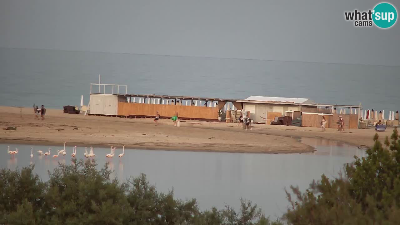 Webcam Chia – Vue en direct de la plage Su Giudeu