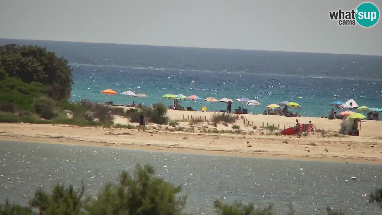 Webcam Chia – Live View of Su Giudeu Beach