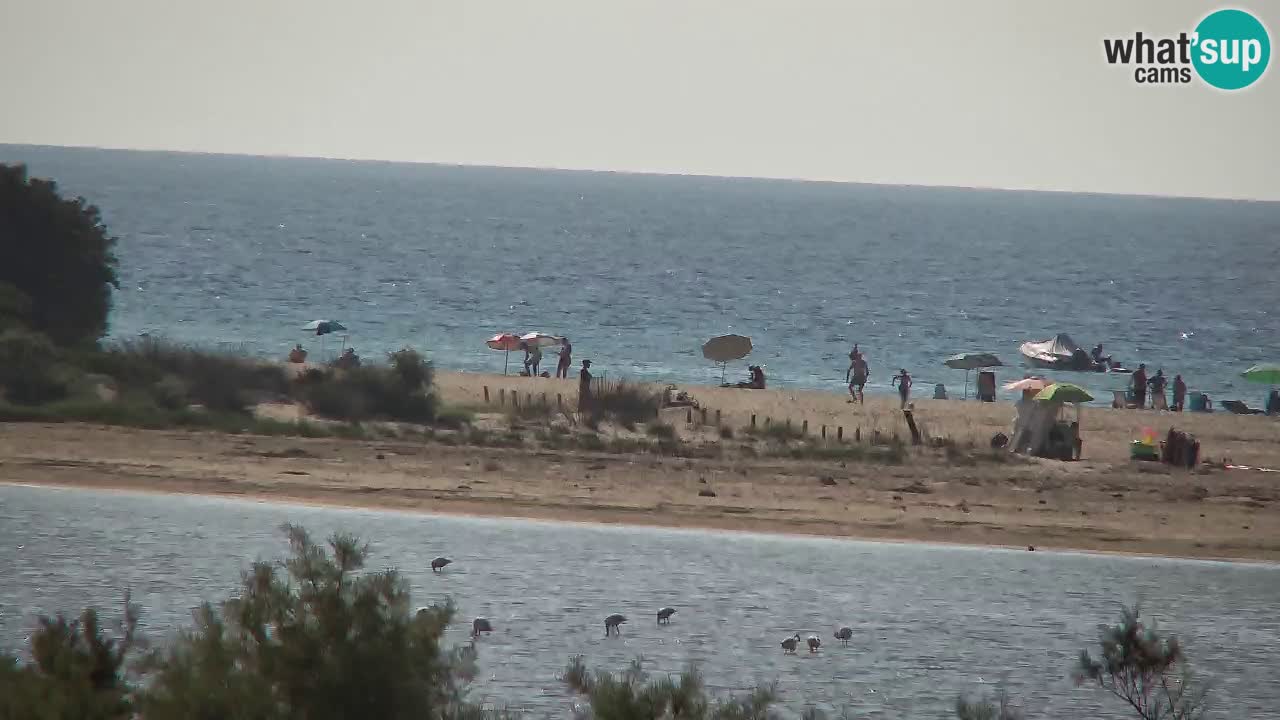 Webcam Chia – Live View of Su Giudeu Beach