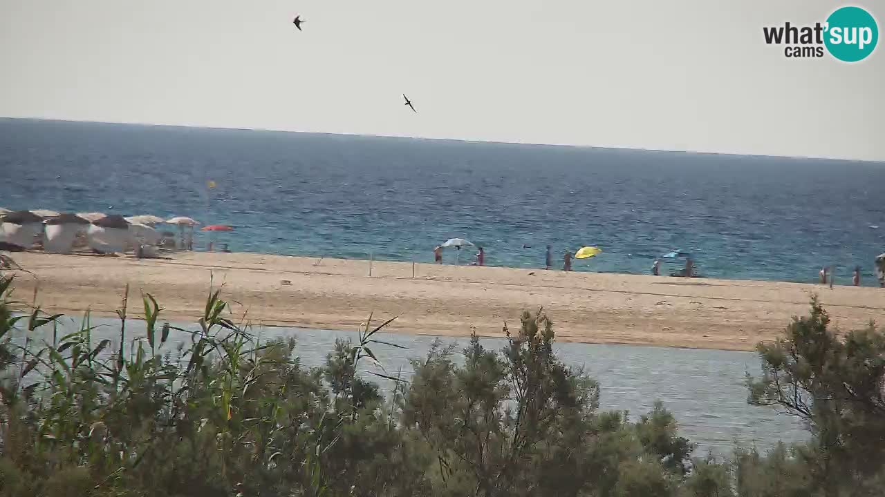 Webcam Chia – Live View of Su Giudeu Beach