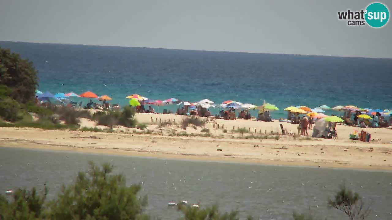Webcam Chia – Liveblick auf den Strand Su Giudeu