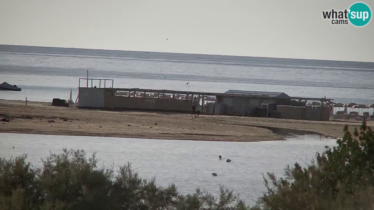 Webcam Chia – Live View of Su Giudeu Beach
