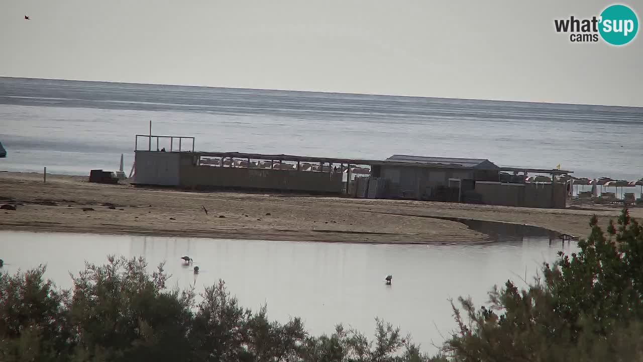 Webcam Chia – Vista en directo de la playa Su Giudeu