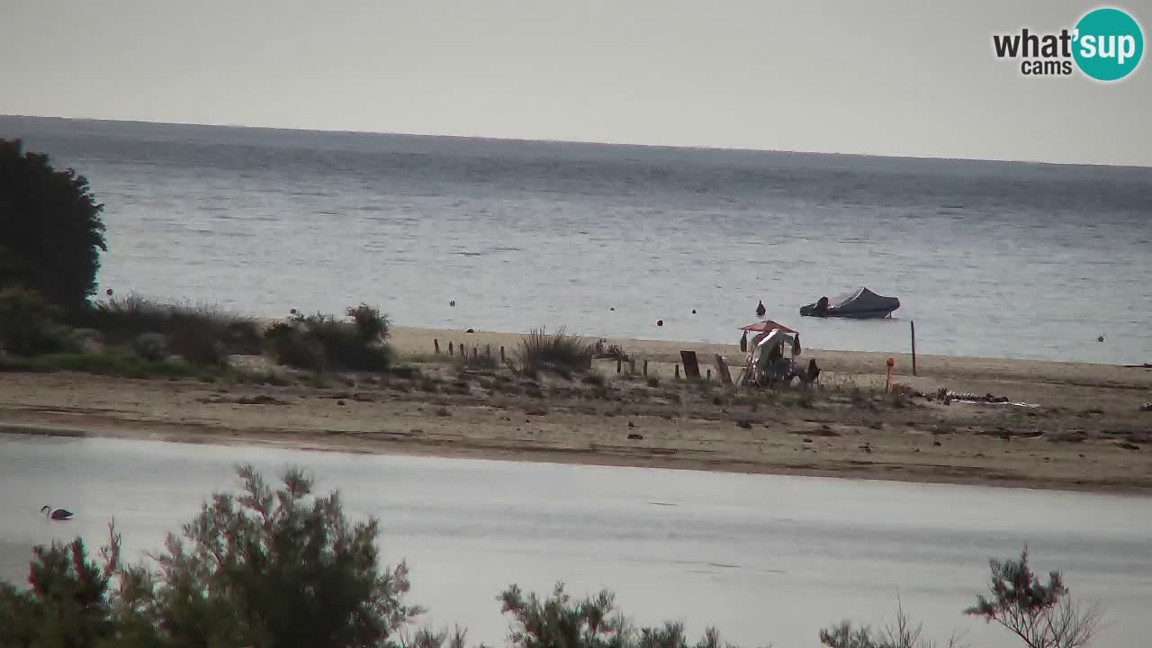 Webcam Chia – Live View of Su Giudeu Beach