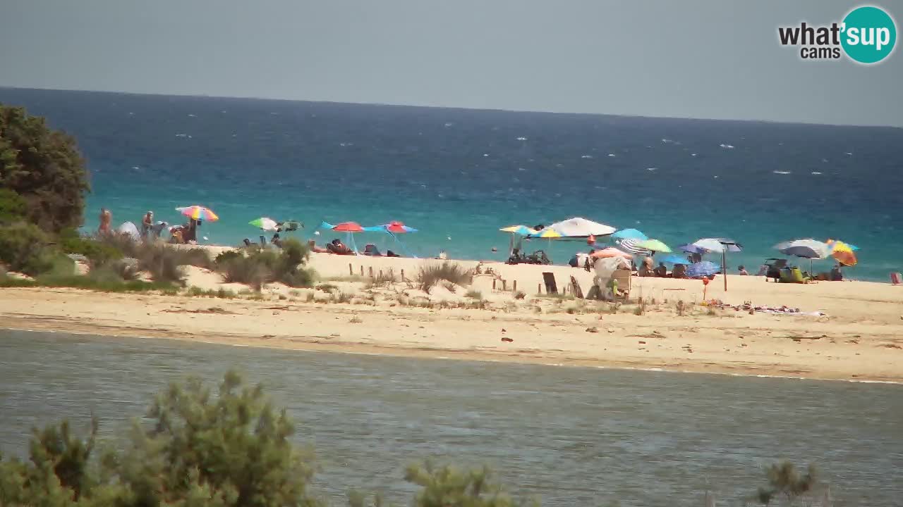 Webcam Chia – Live View of Su Giudeu Beach
