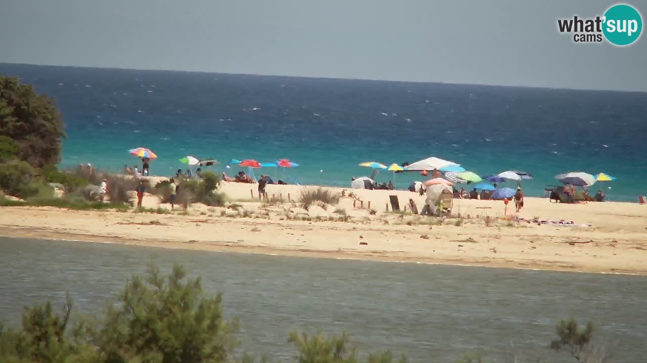 Webcam Chia – Live View of Su Giudeu Beach