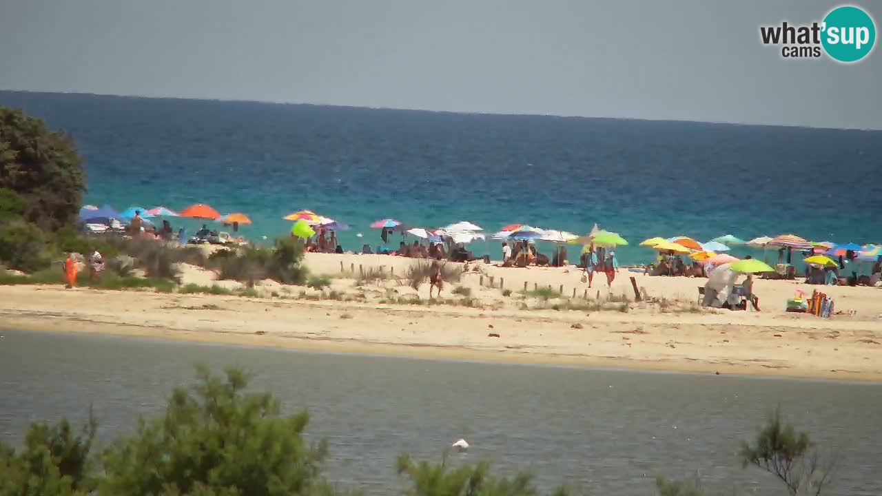 Webcam Chia – Live View of Su Giudeu Beach