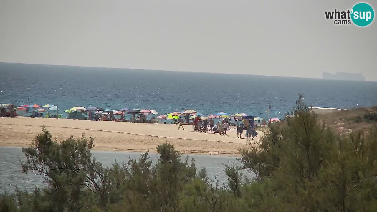 Webcam Chia – Live View of Su Giudeu Beach