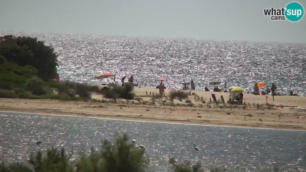 Web kamera Chia – Pogled uživo na plažu Su Giudeu