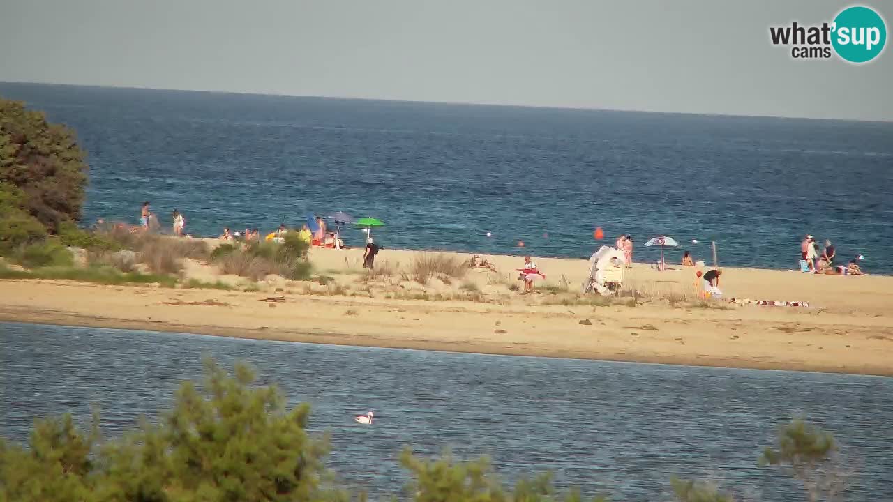 Webcam Chia – Vista en directo de la playa Su Giudeu