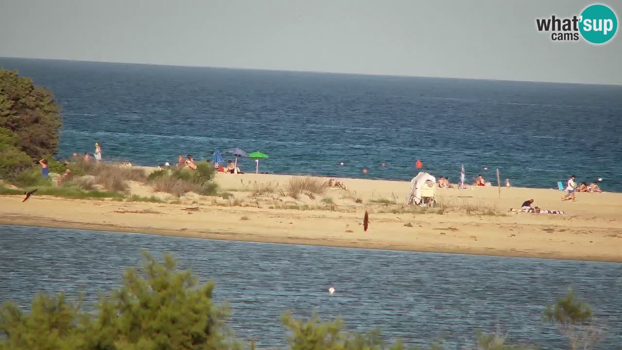 Spletna kamera Chia – Pogled v živo na plažo Su Giudeu