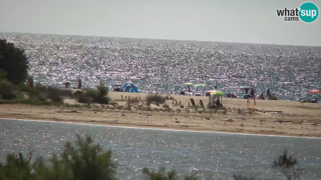 Webcam Chia – Live View of Su Giudeu Beach