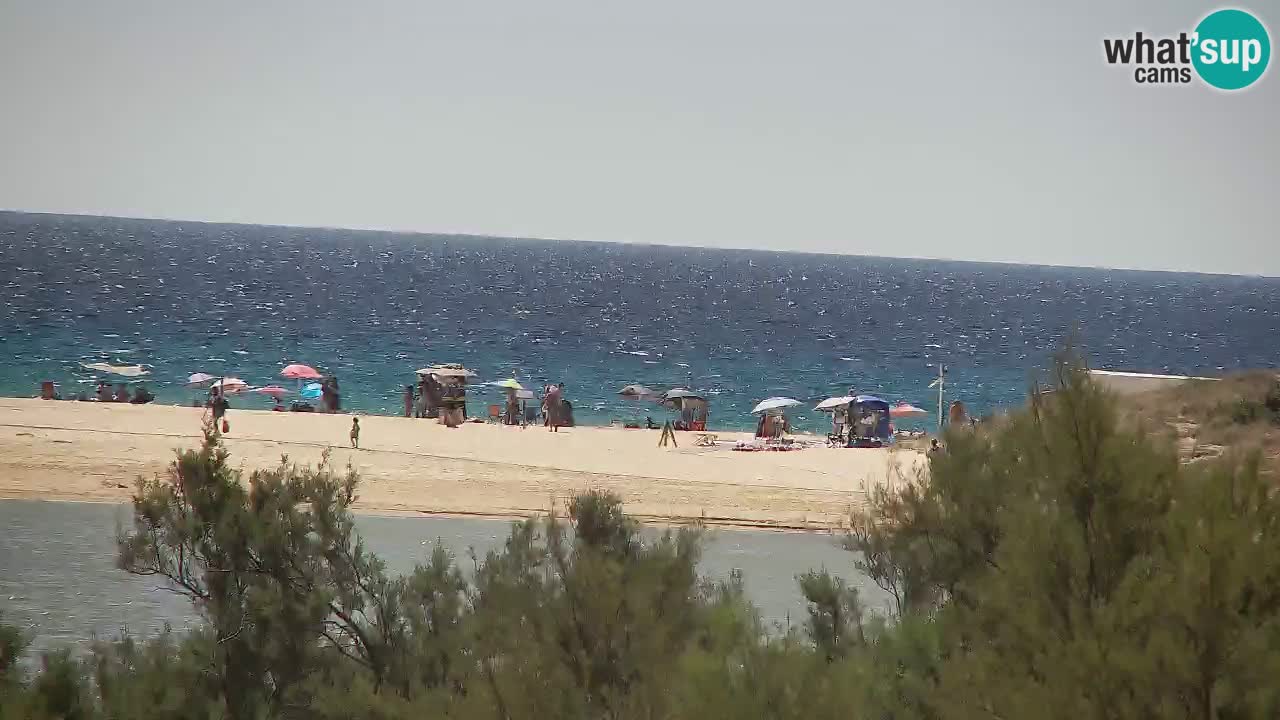 Webcam Chia – Live View of Su Giudeu Beach