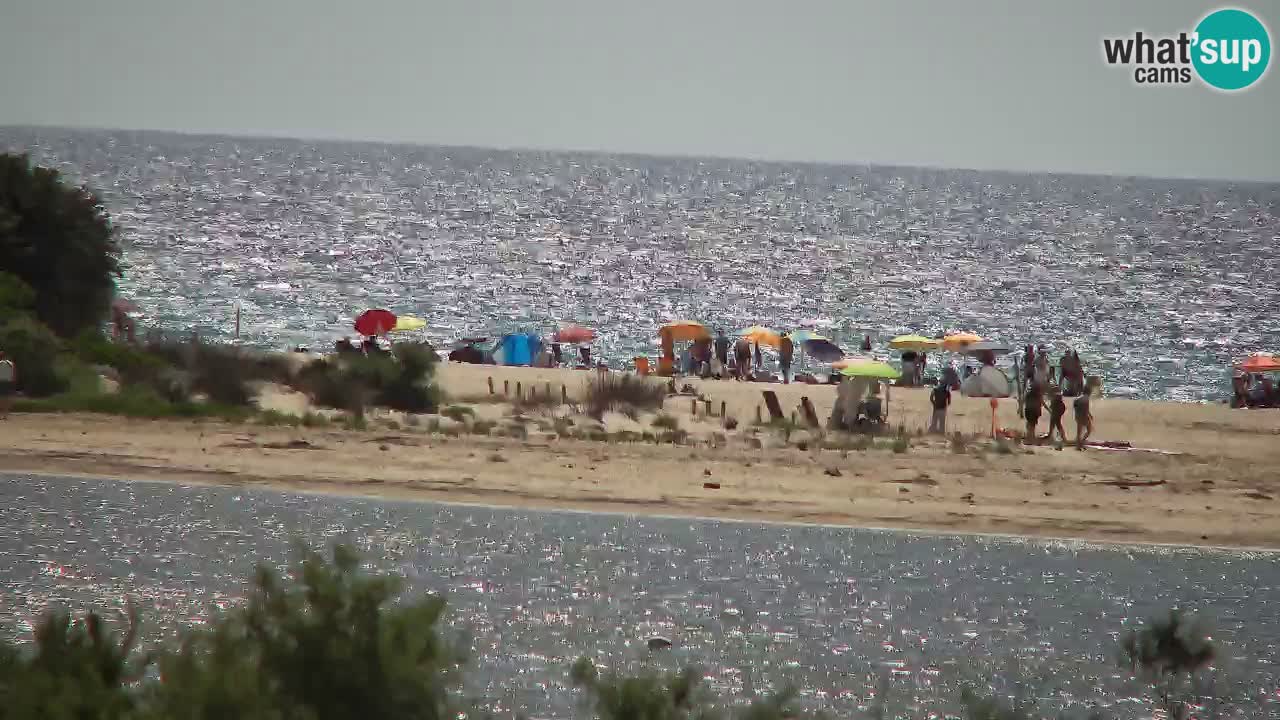 Webcam Chia – Live View of Su Giudeu Beach