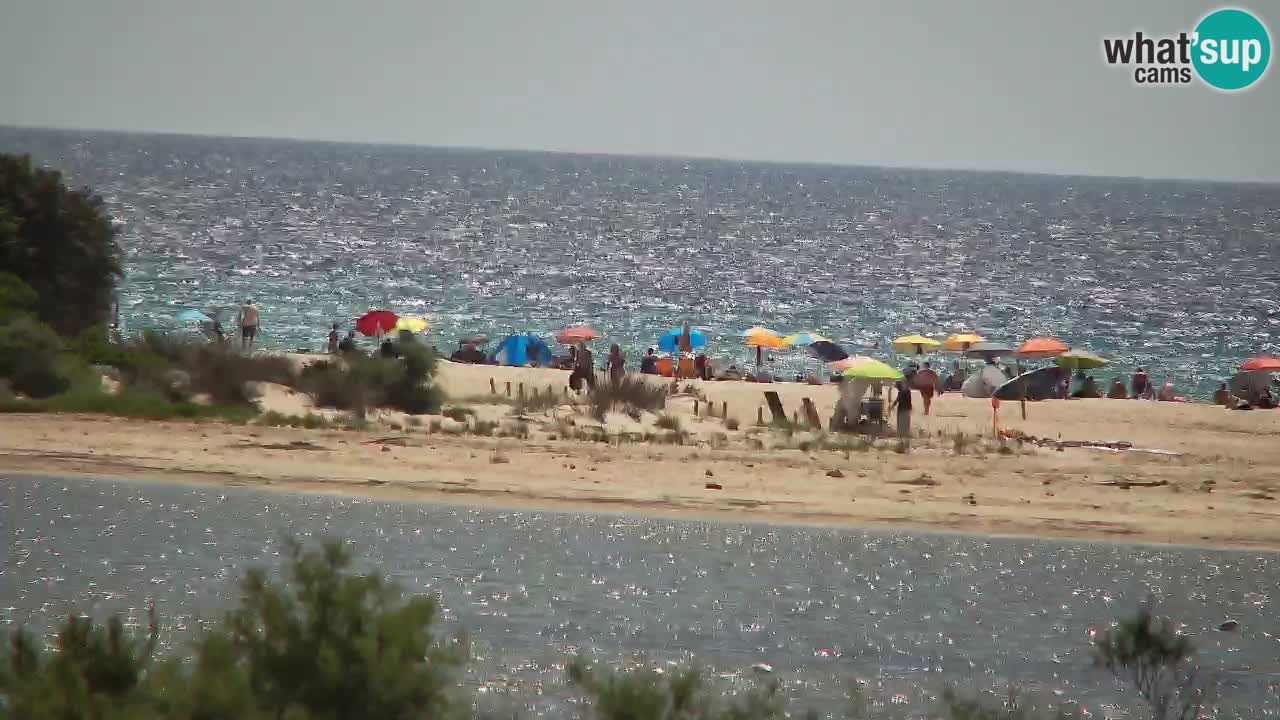 Webcam Chia – Live View of Su Giudeu Beach