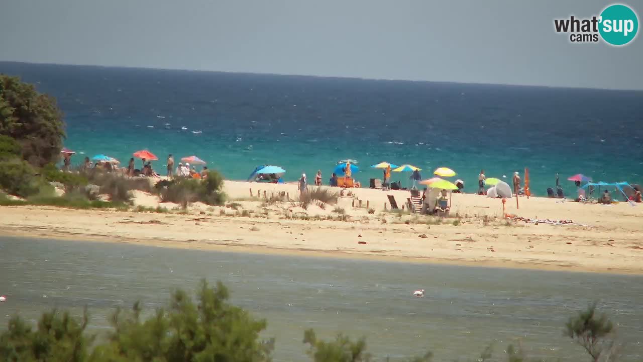 Webcam Chia – Vue en direct de la plage Su Giudeu