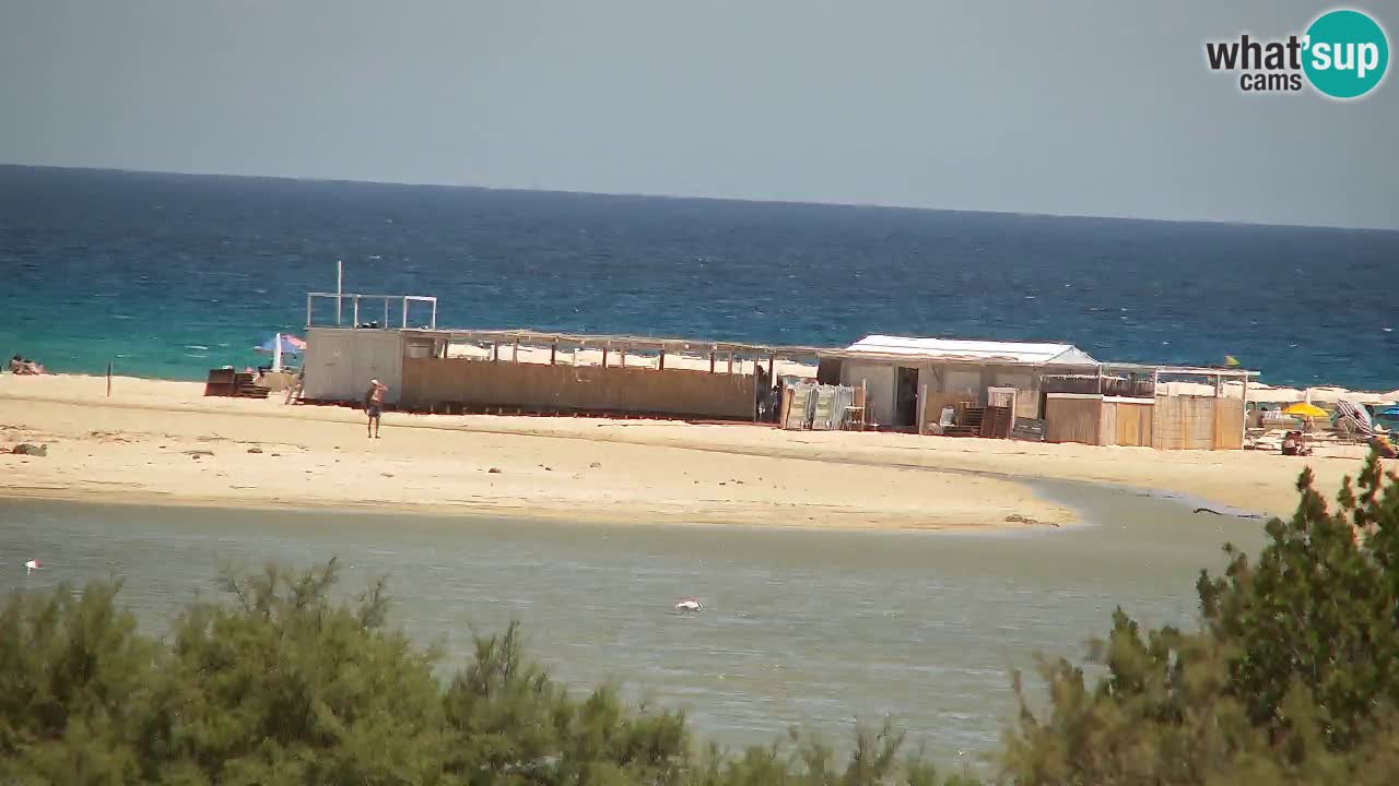 Webcam Chia – Vue en direct de la plage Su Giudeu