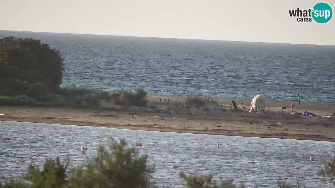Webcam Chia – Vista en directo de la playa Su Giudeu