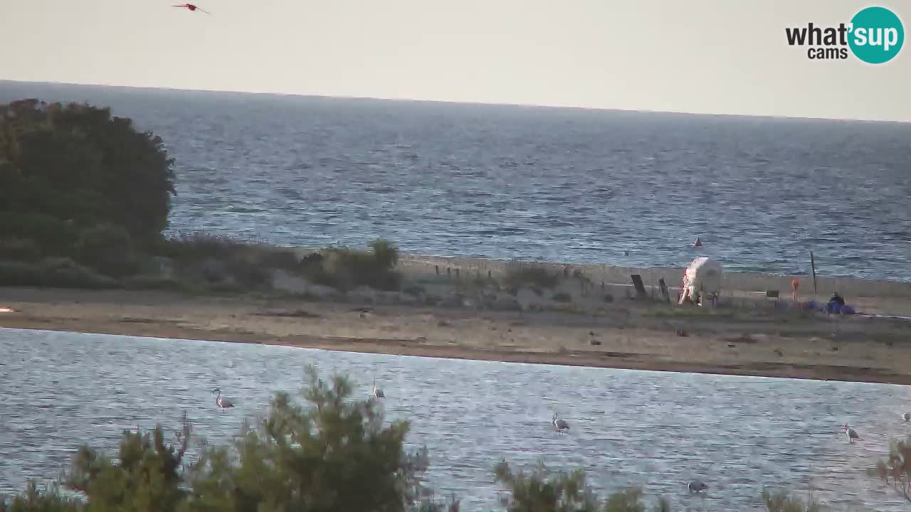 Webcam Chia – Vista en directo de la playa Su Giudeu