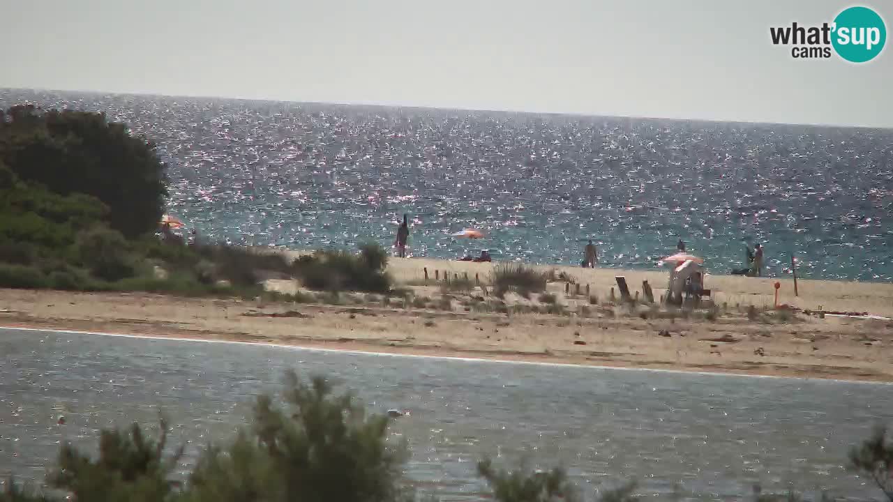 Web kamera Chia – Pogled uživo na plažu Su Giudeu