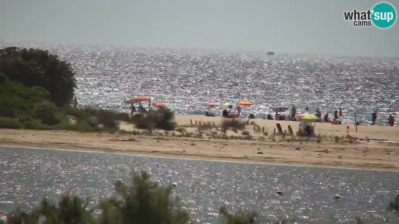 Webcam Chia – Live View of Su Giudeu Beach