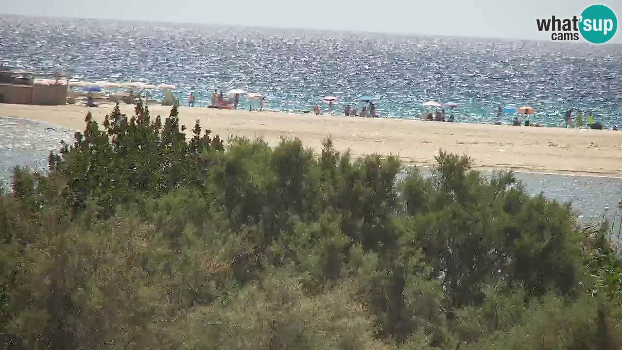 Webcam Chia – Live View of Su Giudeu Beach