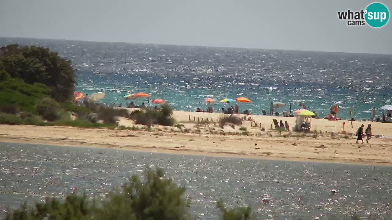 Webcam Chia – Live View of Su Giudeu Beach