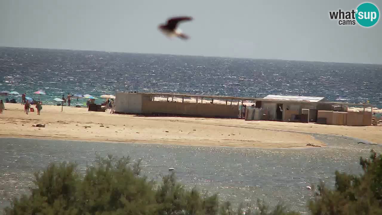 Webcam Chia – Live View of Su Giudeu Beach