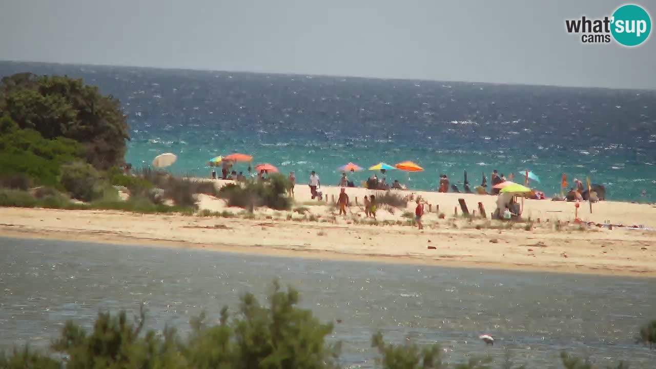 Webcam Chia – Live View of Su Giudeu Beach