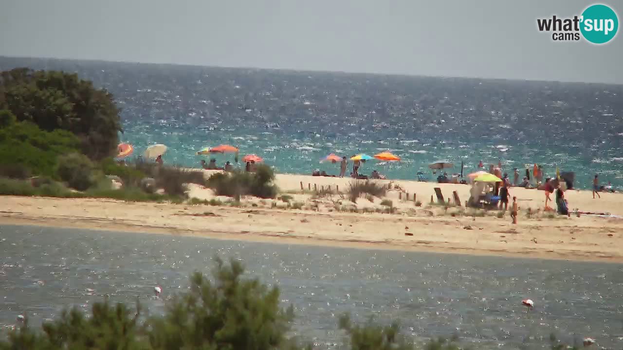 Webcam Chia – Live View of Su Giudeu Beach