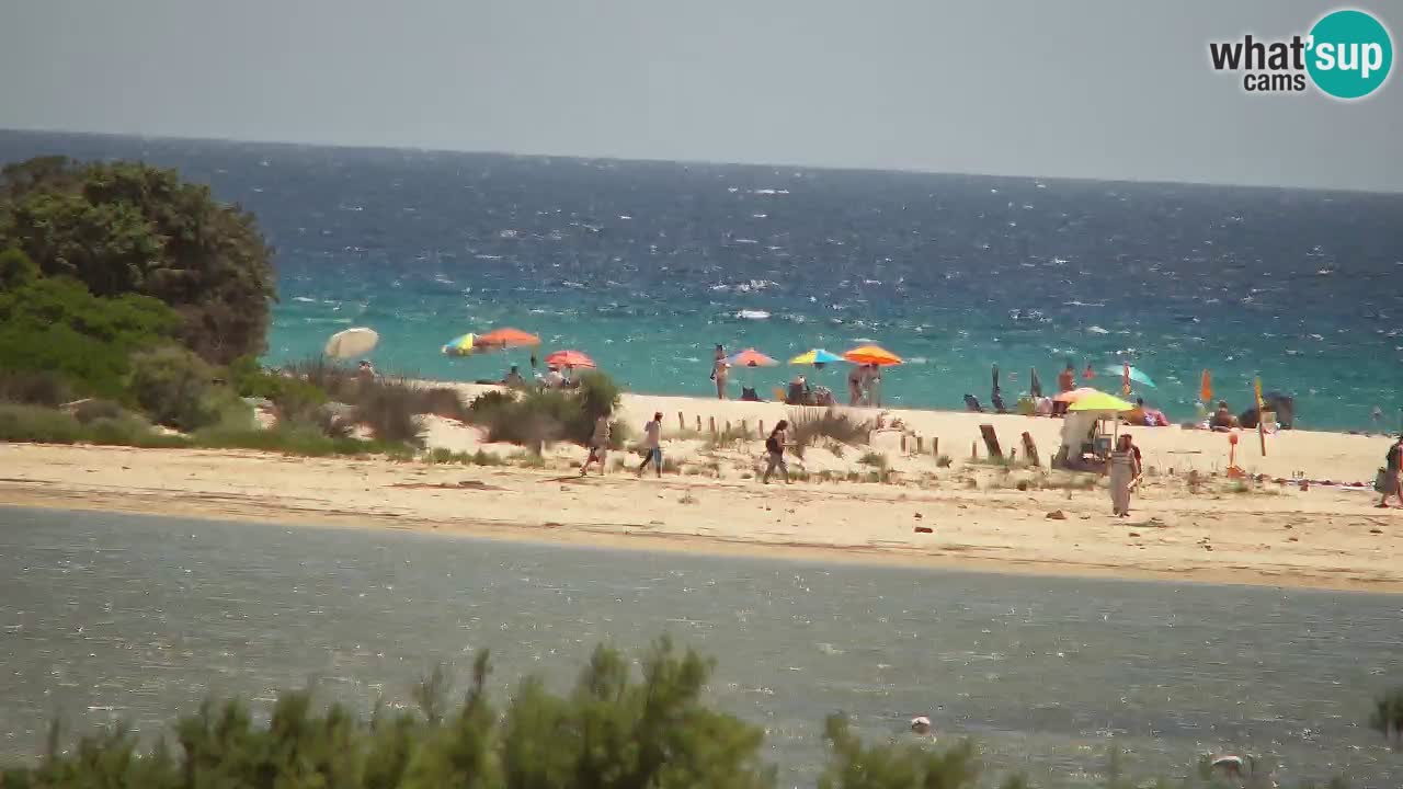 Web kamera Chia – Pogled uživo na plažu Su Giudeu