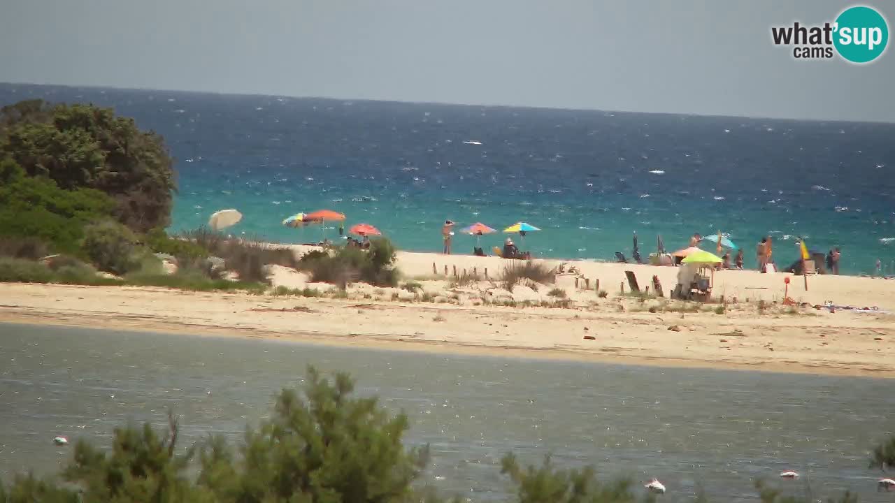 Webcam Chia – Vista en directo de la playa Su Giudeu