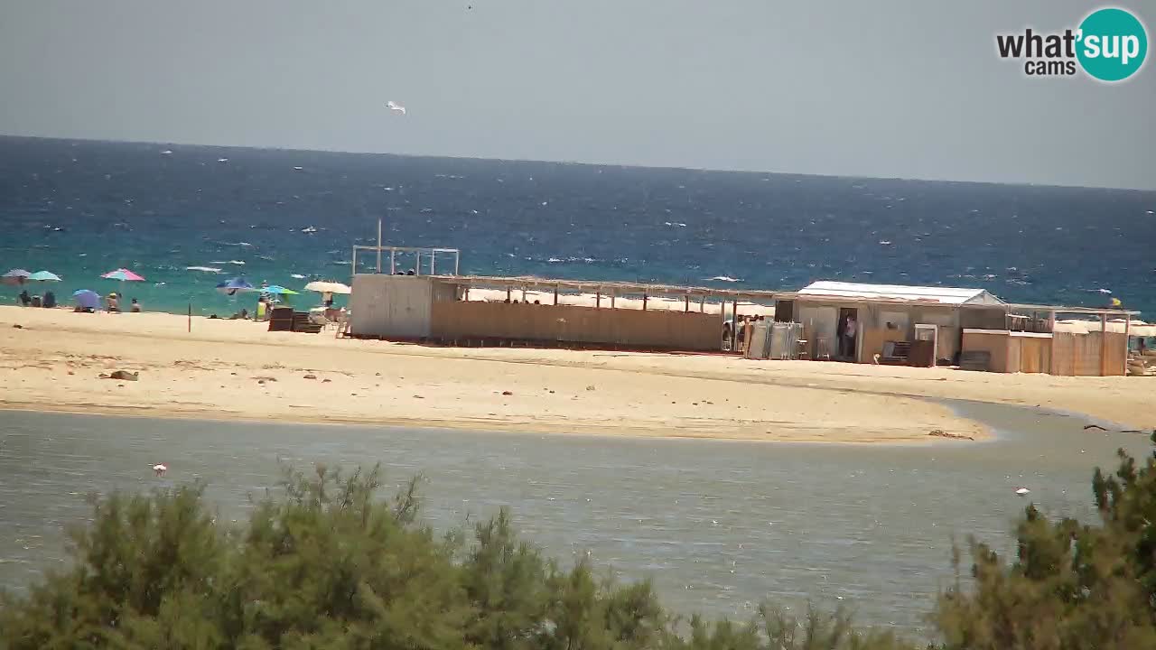 Webcam Chia – Live View of Su Giudeu Beach