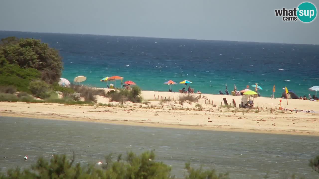 Webcam Chia – Live View of Su Giudeu Beach