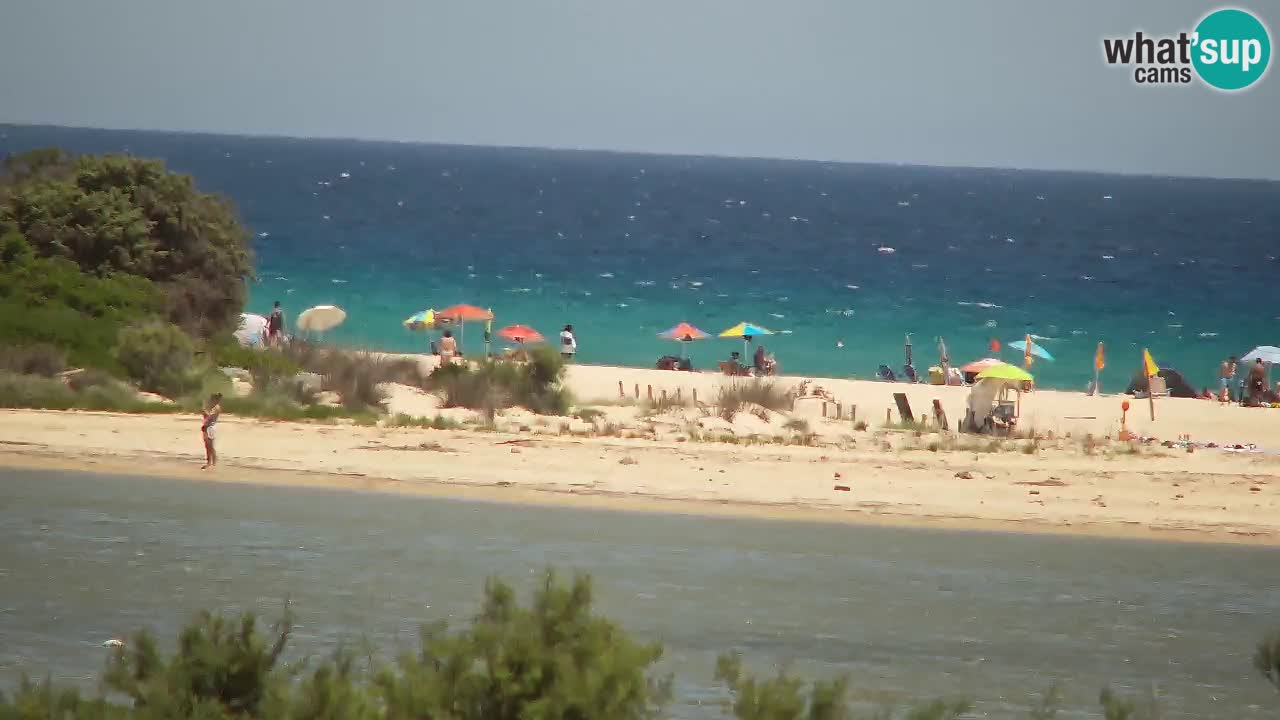 Webcam Chia – Live View of Su Giudeu Beach