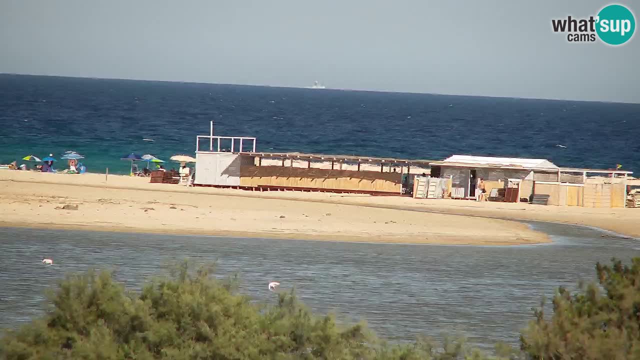 Webcam Chia – Live View of Su Giudeu Beach