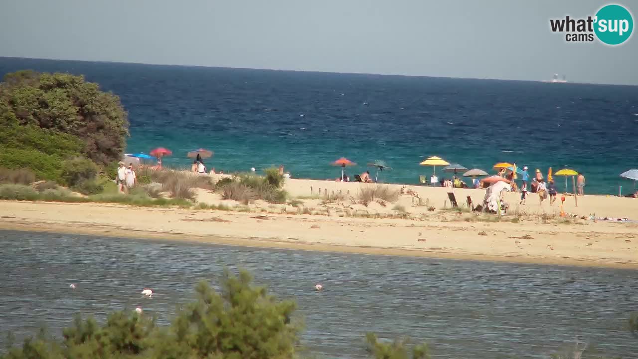 Webcam Chia – Liveblick auf den Strand Su Giudeu
