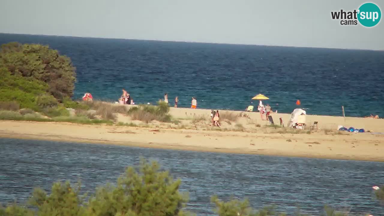Webcam Chia – Live View of Su Giudeu Beach
